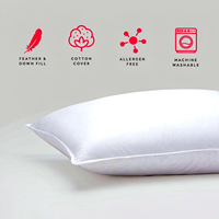 Oreiller Queen Size 20x30 pouces en duvet et plumes de canard de qualité supérieure, soutien doux, vente en gros OEM