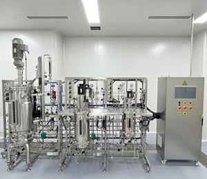 Tanque de fermentación de tamaño más pequeño, fermentador de laboratorio de acero inoxidable, fermentador cilíndrico cónico (CCT) - Product Image 4