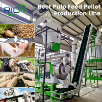 RICHI Exportador de Planta de Pellets de Pulpa de Remolacha - Fábrica de Procesamiento de Alimentos para Ganado Totalmente Automática, Planta de Pellets de Alimento a Base de Residuos de Remolacha Azucarera
