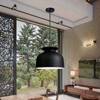 Lampe suspendue de plafond noire mate de conception minimaliste moderne en gros lampe suspendue de salle à manger nordique