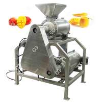 Ligne de pulpe et de jus multi-fruits 500 kg/h pour orange, fraise, avocat, banane, usine d'extraction automatique entièrement en acier inoxydable