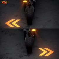 Projecteur de clignotant universel pour moto, lumière LED étanche en plastique RGB, 27 modèles, 12V, lampe de signalisation au sol ambre