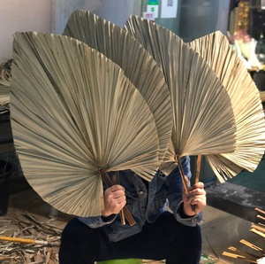 Vente flash : grandes feuilles de <span class=keywords><strong>palmier</strong></span> séchées naturelles pour la décoration de mariage - Product Image 1