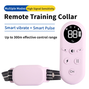 Chất Lượng Cao IP67 Không Thấm Nước Từ Xa Con Chó Đào Tạo Cổ Áo Nhựa Sốc Cổ Áo Với 300M Phạm Vi Pet <span class=keywords><strong>Tracker</strong></span> Con Chó Huấn Luyện Viên - Product Image 3