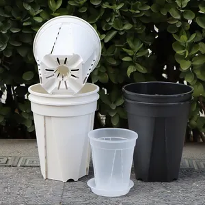 Vasi a muro piante auto-irrigazione vaso pianta trasparente 21cm per la semina