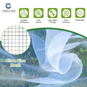 רשת פלסטיק HDPE עמידה לקרינת UV, רשת נגד חרקים לחקלאות, לגינה ולחממה - Product Image 5