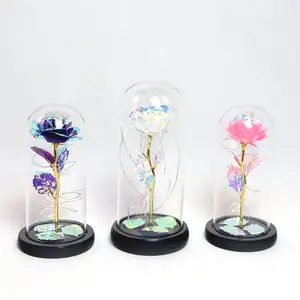 Mode artisanat décoration de la maison dôme en verre de luxe haute luminosité en gros dômes en verre fleur en verre lumière