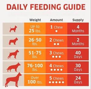 Marque privée/Logo Suppléments de soins de santé pour animaux de compagnie Probiotic Immune Soft Chews pour aider à maintenir une bonne flore intestinale et Ph - Product Image 6