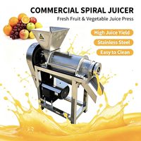 Machine à jus industrielle pour pommes et ananas, extracteur de jus en spirale SUS 304, machine à lait de coco