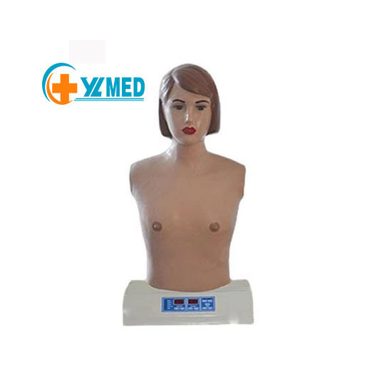 Color Stethoscope Medical Family Doctor Double
