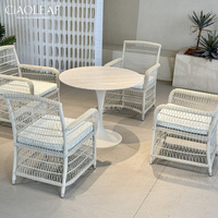 Chaises de salle à manger en osier d'extérieur avec accoudoirs et coussins pour jardin et terrasse