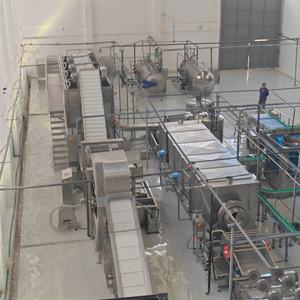 Solution intégrée multifonctionnelle Pois chiche Haricot rouge Haricot <span class=keywords><strong>noir</strong></span> Équipement en conserve pour crème glacée Chocolat Bonbons Fruits Légumes - Product Image 1