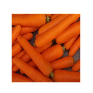 Pelador de Limones Comercial de Alta Calidad, Máquina Peladora de Verduras, Limpiador de Frutas y Verduras, Lavador de Frutas Portátil - Product Image 6
