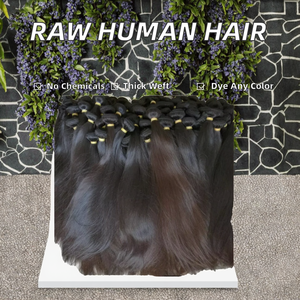 处女发批发廉价 100% 角质层对齐原生发束顶级品质机器双层编织印度发编织 - Product Image 2