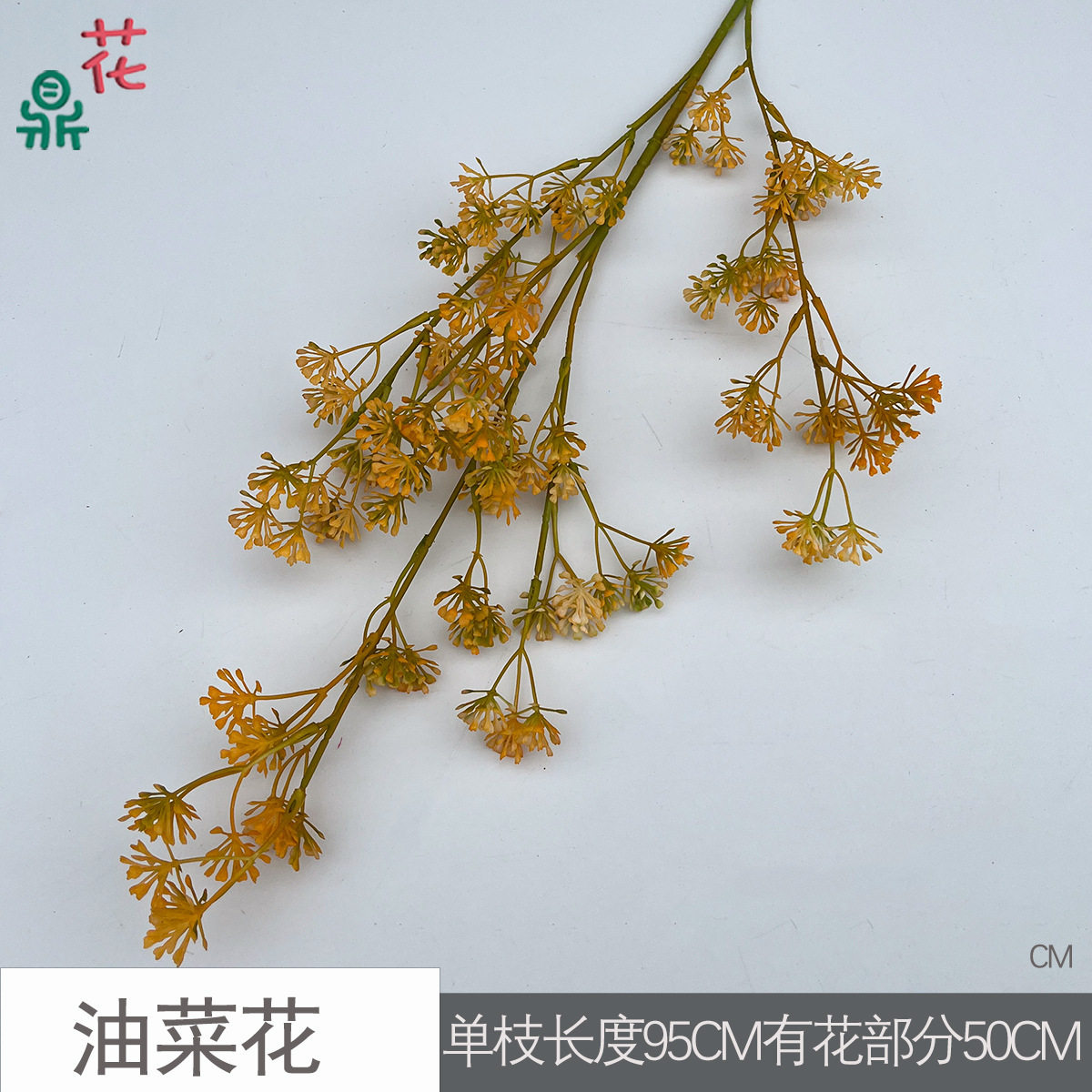 Fleurs de colza CM Jaune