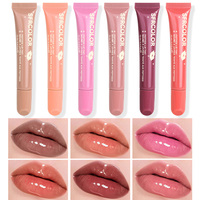 OEM ODM S.f.r Color Marque privée Brillant à lèvres haute brillance Végétalien Sans cruauté Imperméable Non-collant Repulpant Lipgloss Vente en gros
