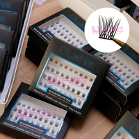 SJ LASHES vente en gros cluster 3D et individuel C/D Curl Fox Cat Eye Eyelash Kit cils vente en gros marque privée
