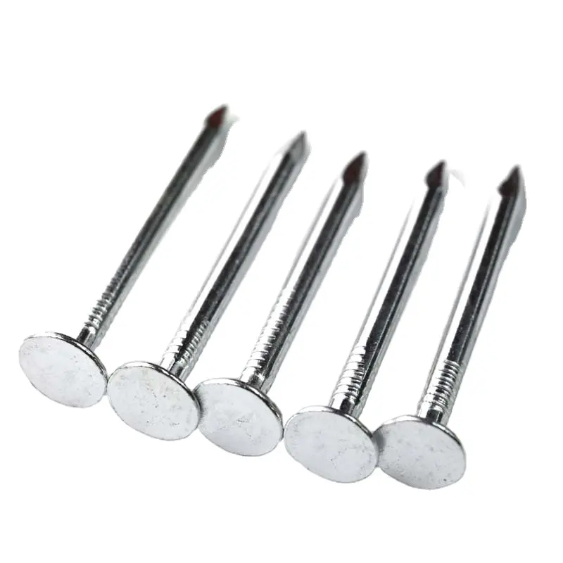 Cheap price electro galvanized market common nail flat head clout nails