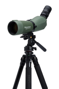 Telescopio Angulado Celestron Regal M2 16-48x65mm ED con Doble Enfoque, Monocular para Observación de Aves, Caza, Astronomía - Product Image 3