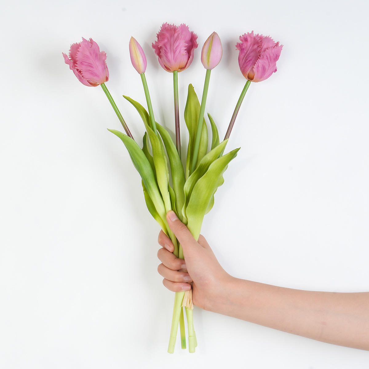 สีม่วงอ่อน