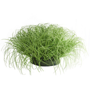 Plantes artificielles à prix <span class=keywords><strong>d</strong></span>'usine, herbe verte <span class=keywords><strong>d</strong></span>'automne, roseau en plastique, jonc, herbe <span class=keywords><strong>d</strong></span>'<span class=keywords><strong>oignon</strong></span> pour la <span class=keywords><strong>d</strong></span>écoration intérieure - Product Image 5