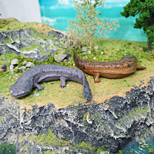 Modelo de fósil anfibio antiguo simulado, juguete educativo para niños, Mini figura de <span class=keywords><strong>salamandra</strong></span> <span class=keywords><strong>gigante</strong></span>, decoración coleccionable - Product Image 5