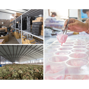 ที่กำหนดเอง Longlasting เก็บรักษาไว้ดอกกุหลาบสำหรับคริสมาสต์เกรดกุหลาบ - Product Image 5