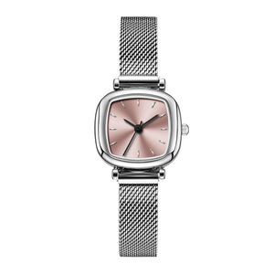 Compact Retro Artistic Square Dial Female Student Watch Cross-Border Casual Glass <b>Window</b> Steel <b>Mesh</b> Strap Coin Type Plastic Band - Product Image 2