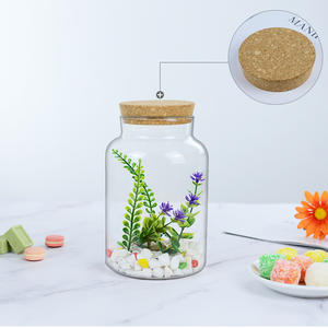 Terarium Kaca Mini DIY dengan Lanskap Hutan, Tutup Gabus Kayu, dan Lampu LED untuk Dekorasi Meja - Product Image 3