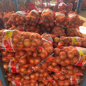 Cebolla Fresca de Calidad de Exportación: Cebolla Roja y Cebolla Amarilla Nueva Cosecha - Product Image 3