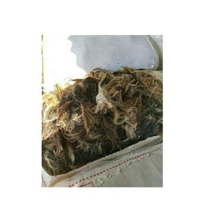 Juego de coleteros de calidad superior para mujer, paquete de cabello de cola de Ndian, con pico de aire - Product Image 5