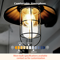 Ampoule à filament LED ultra brillante E26 120V A23 3000LM en verre sans scintillement Fonctionne avec les lampes suspendues, murales et de table Certifiée UL CUL FCC