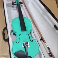 Color Popular Violin Basswood Violin Children Beginner Practice Adult Violin Playing 4/4 Foreign Trade Wholesale