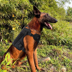 Tactical Dog Vest Nylon Waterproof Training Vest For Large Medium Dogs Agility Training Pet Gear - Product Image 3