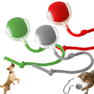Nouveaux jouets pour animaux de compagnie 2024, balle auto-roulante pour chien, balle interactive intelligente à rotation automatique pour animaux de compagnie, rechargeable, avec chargeur USB - Product Image 1