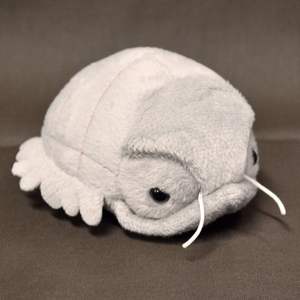 ขายร้อนแฟชั่นของขวัญสีเทานุ่มยัดไส้สัตว์ยักษ์ Isopod ตุ๊กตาของเล่นนุ่มที่กำหน<span class=keywords><strong>ด</strong></span>เอง - Product Image 2