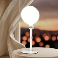 Lampe de remplissage de 16 cm avec support de bureau, panneau lumineux pour photographie, selfie et maquillage, trépied télescopique pour diffusion en direct
