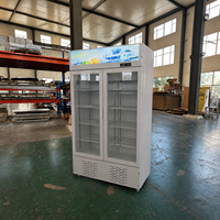 Réfrigérateur à boissons Cola, Vitrine réfrigérée pour boissons