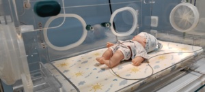 Equipos para el Cuidado Infantil, Calentadores para Bebés, <span class=keywords><strong>Incubadora</strong></span> Infantil con Unidad de Fototerapia - Product Image 5