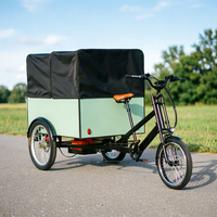 Carrito Tuk Tuk con Remolque, Entrega Rápida, Gran Oferta, Bicicleta Eléctrica de Carga Pesada de 3 Ruedas con Caja para Adultos, 6 Velocidades