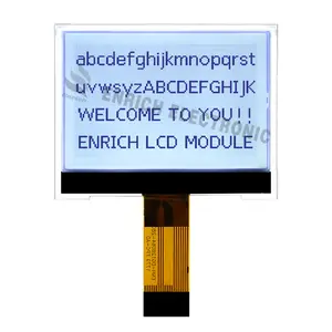 Produsen LCD 2.4 inci 128x64 Dot Martix modul LCD FPC tampilan grafis modul LCD