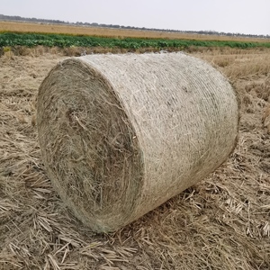 Lưới Bọc Cỏ Khô Phân Hủy Sinh Học Chất Lượng Cao 100% * 0.2 M 4000*0.3 M <span class=keywords><strong>HDPE</strong></span> Mới 4000 Lưới Bọc Cỏ Khô Thức Ăn Chậm Hình Tròn - Product Image 6