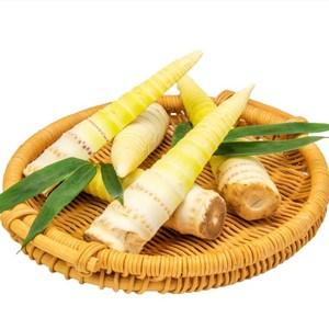 สกัดจากหน่อไม้ไผ่10:1ผงสกัดเกรดอาหารจากธรรมชาติบริสุทธิ์ - Product Image 3