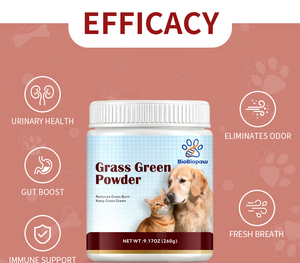 Poudre verte pour chiens et chats, complément alimentaire pour la santé, soutien de la santé urinaire et intestinale, saveur personnalisée, ingrédients pour chiens en poudre - Product Image 5