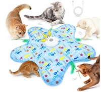 Jouet pour chat 2-en-1 interactif et simple, style dessin animé sportif, avec plumes dissimulées, activé par le mouvement, pour jeu de cache-cache et attrape-jouet