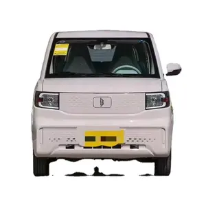 Neue reine Elektroautos LINGBOX F01 CT Modelle Elektro-Mini-Elektrofahrzeuge