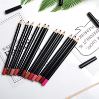 Crayon à lèvres nude de haute qualité, crayon à lèvres 16 couleurs, marque privée, crayon à lèvres crémeux au chocolat