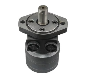 Moteur cycloïdal Danfoss OMR50 OMR160 OMR100 OMR200 OMR315 - Product Image 5