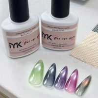 Kit de gel UV pour nail art, 5 couleurs, nouveau style, marque privée, fabriqué en Chine, gel magnétique 9D effet œil de chat