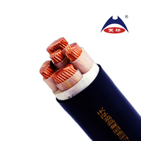 Cable de alimentación eléctrica subterráneo XLPE de cobre de 5 núcleos Tamaños de 25mm-300mm para construcción MOQ 500m